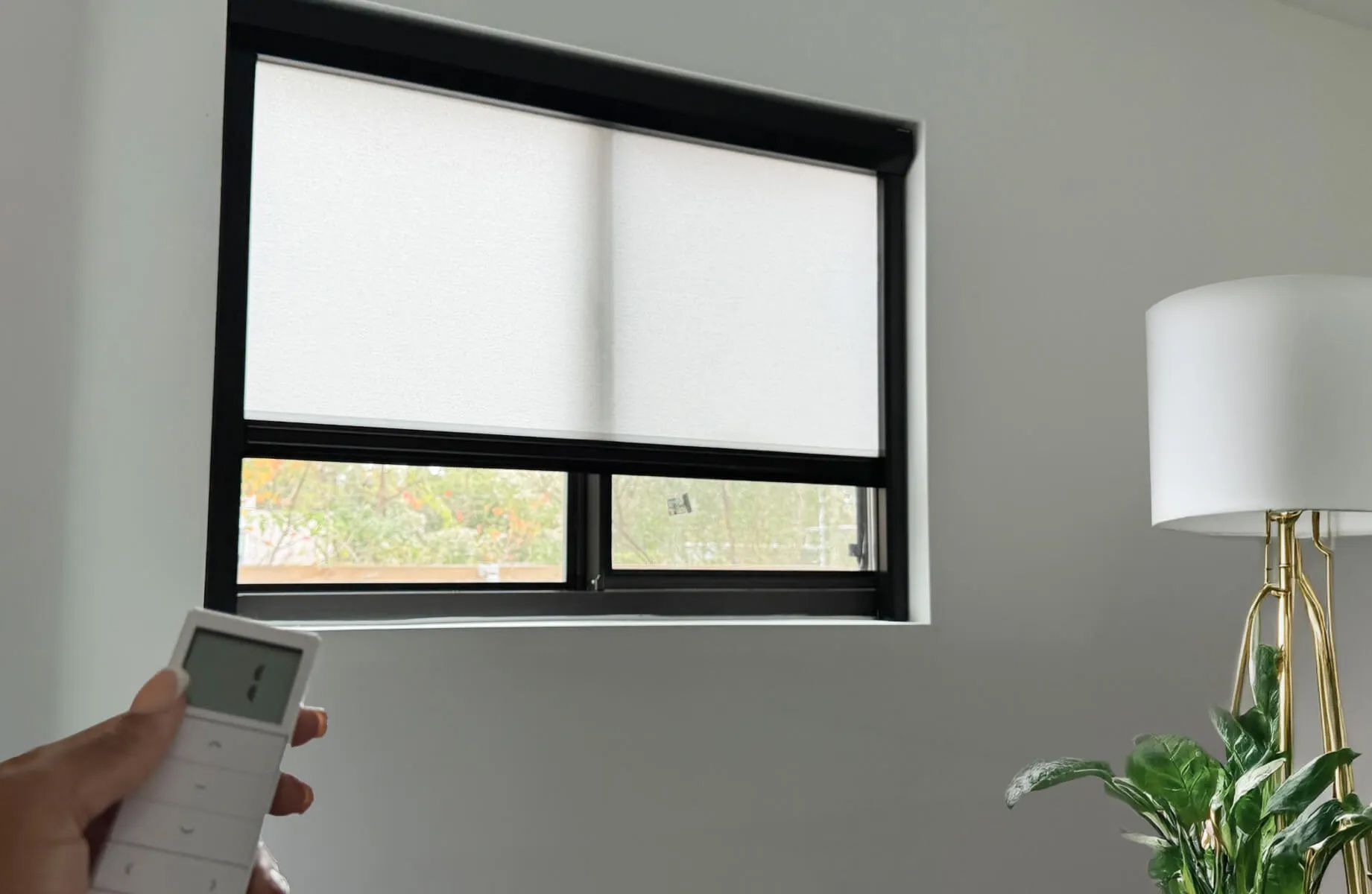 Light Filtering Shade